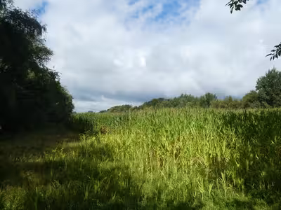 Sonstiges in Röbkenberg, 26169 Friesoythe, Altenoythe - Bild 2