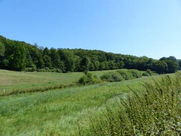 land- und forstwirtschaftlich genutztes Grundstück in Dassel - Bild 4