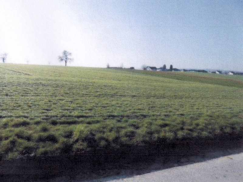 Ackerfläche in Meckesheim - Bild 1