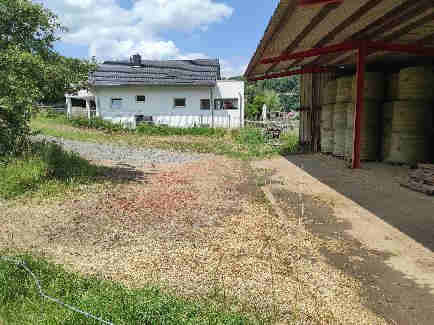 Baugrundstück, land- und forstwirtschaftlich genutztes Grundstück in Lautertal (Odenwald) - Bild 2
