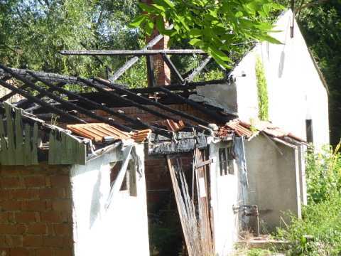 Sonstiges in Amt Wachsenburg - Bild 3