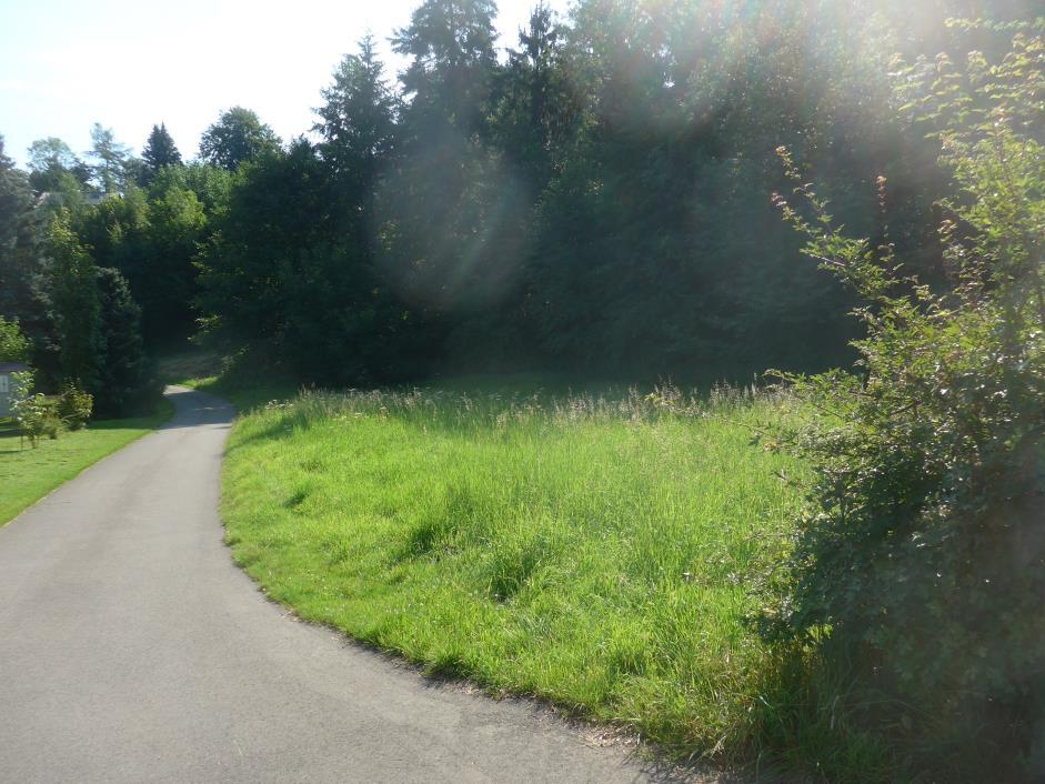 unbebautes Grundstück in Lübbecke - Bild 1