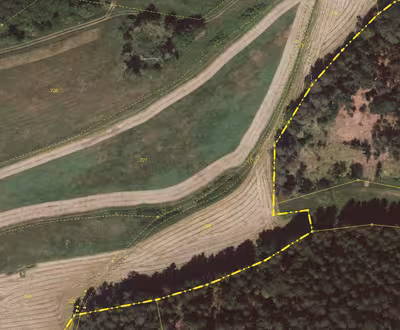 land- und forstwirtschaftlich genutztes Grundstück in Forst, 96215 Lichtenfels, Köttel - Bild 2
