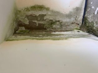 Einfamilienhaus mit Doppelgarage/Liquidationsobjekt in Feldrom - Bild 2