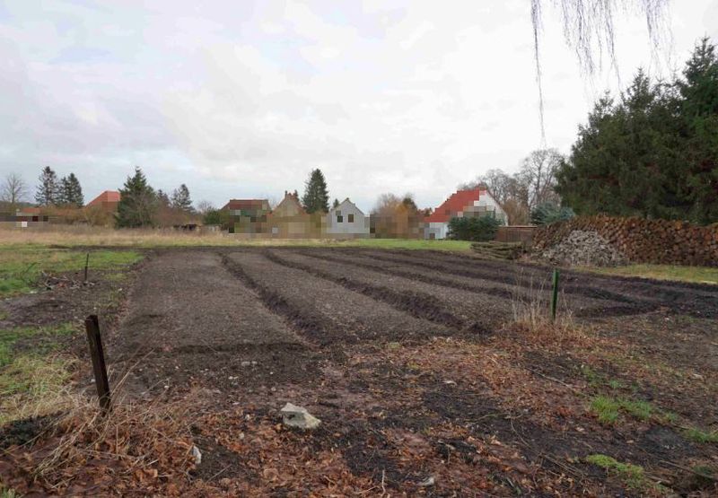Grundstück mit der Ruine eines ehem. Getränkemarktes in Dargun - Bild 2