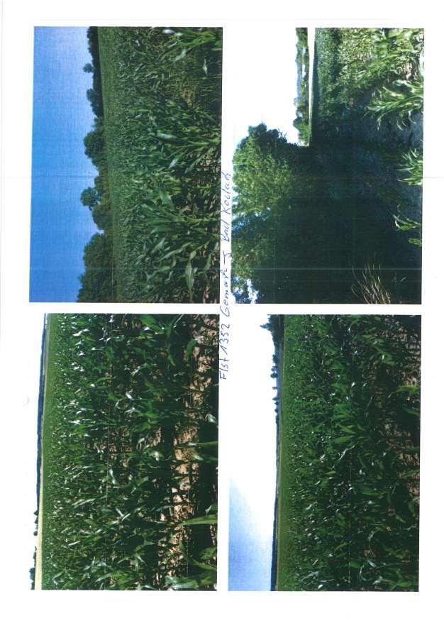 land- und forstwirtschaftlich genutztes Grundstück, siehe Beschreibung in Bad Rodach - Bild 4