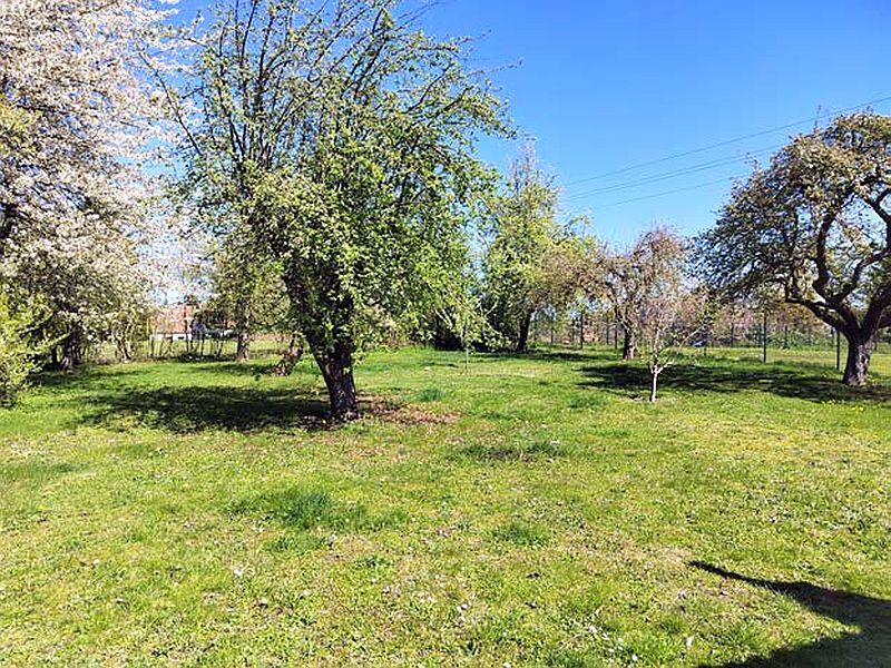 Einfamilienhaus mit 2 massive Nebengebäuden in Zölkow - Bild 3