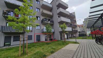 Eigentumswohnung (1 bis 2 Zimmer) in Adlergasse  6, 01097 Dresden - Bild 1