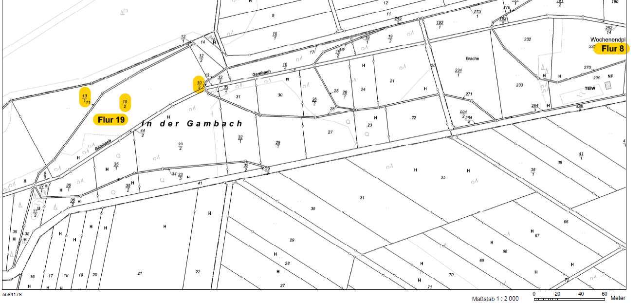 unbebautes Grundstück, land- und forstwirtschaftlich genutztes Grundstück in Niederelbert - Bild 1