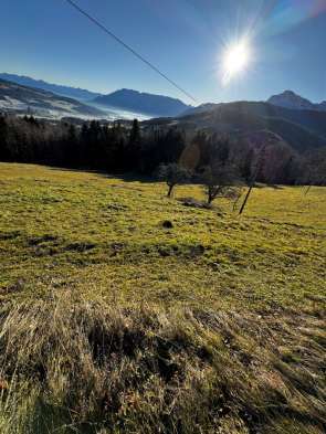 Landwirtschaftsfläche in Anger - Bild 2