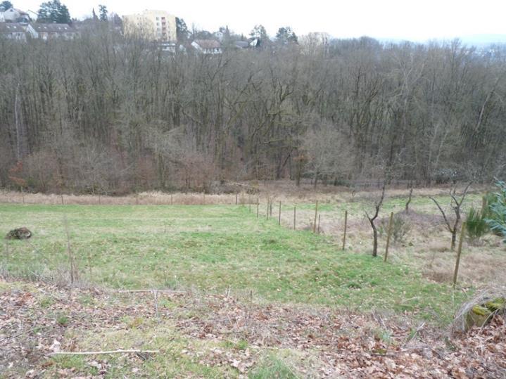unbebautes Grundstück in Fulda - Bild 2