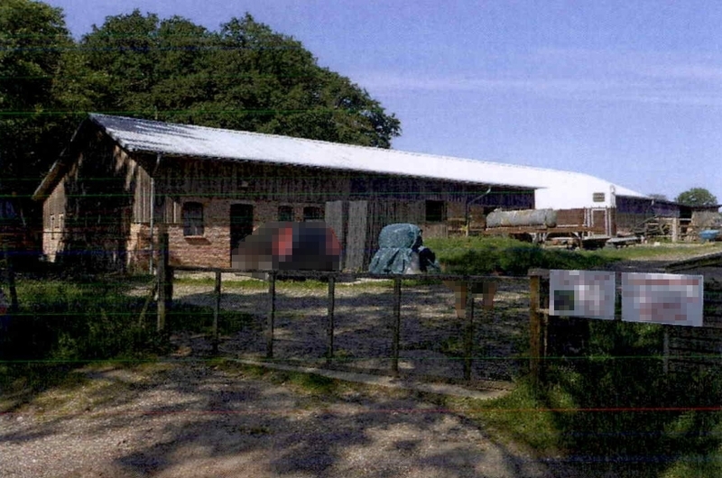Wohnhaus und angrenzendes Wirtschaftsgebäude in Kaisborstel - Bild 4
