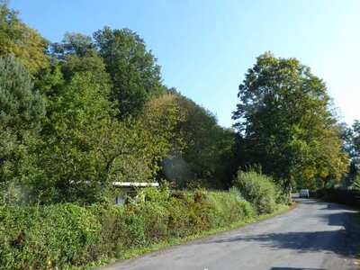 land- und forstwirtschaftlich genutztes Grundstück in Am Tragberge, 98693 Ilmenau, Langewiesen - Bild 1