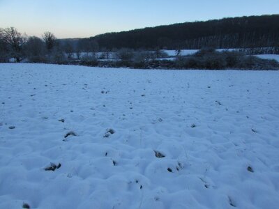 land- und forstwirtschaftlich genutztes Grundstück in ., 53343 Wachtberg, Züllighoven - Bild 2