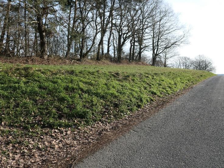 land- und forstwirtschaftlich genutztes Grundstück, Grünland in Wrexen - Bild 4