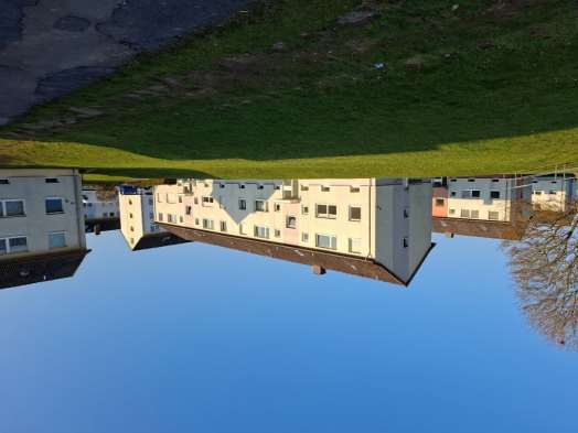 Eigentumswohnung (3 bis 4 Zimmer) in Hameln - Bild 2