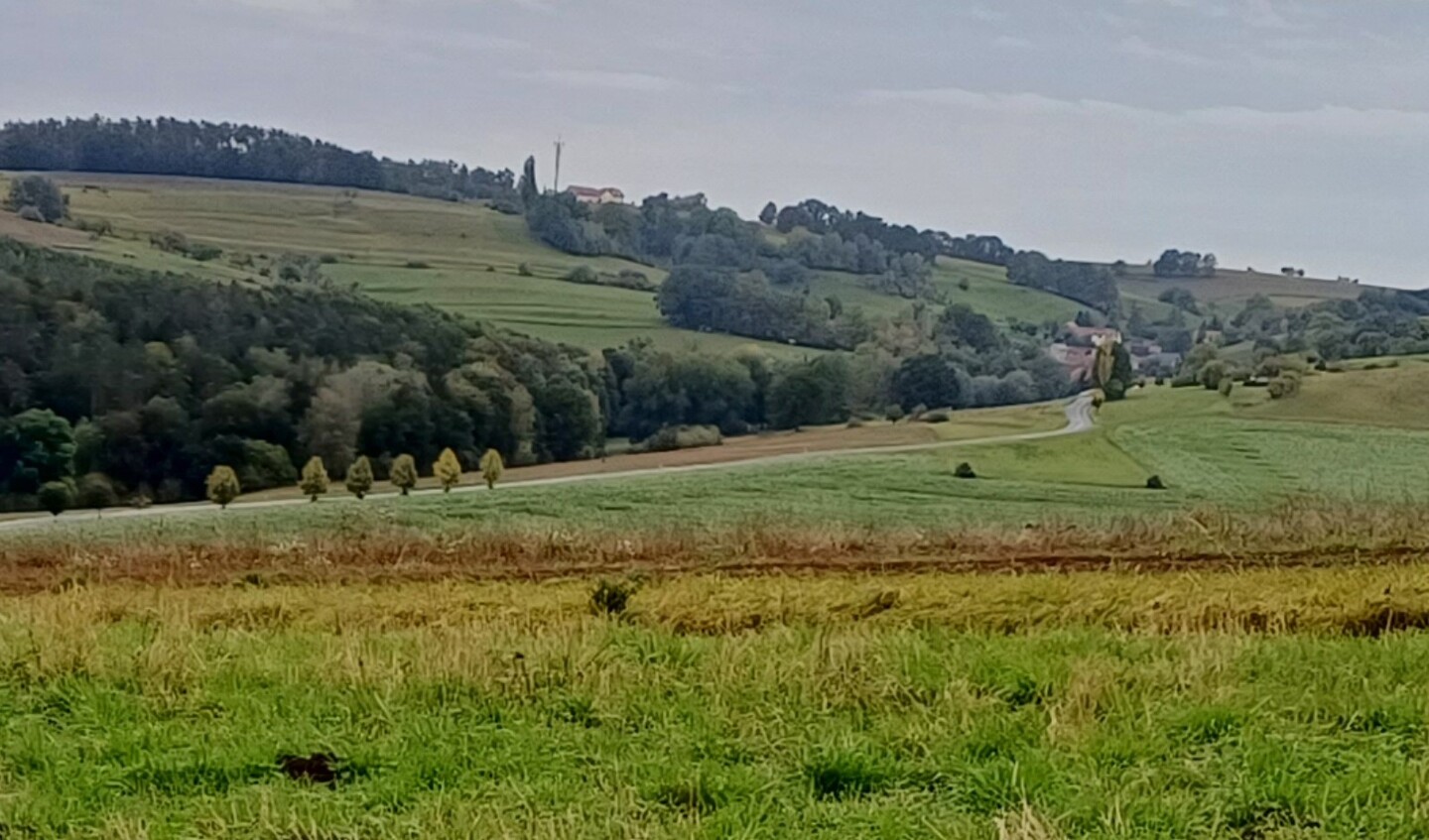 land- und forstwirtschaftlich genutztes Grundstück in Kraftsdorf - Bild 3