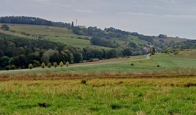 land- und forstwirtschaftlich genutztes Grundstück in Harpersdorf, 07586 Kraftsdorf - Bild 2
