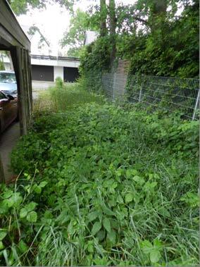unbebautes Grundstück in Weiherhof - Bild 2