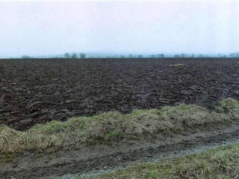 Landwirtschaftsflächen in Sachsenheim - Bild 1
