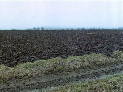 Landwirtschaftsflächen in , 74343 Hohenhaslach - Bild 1