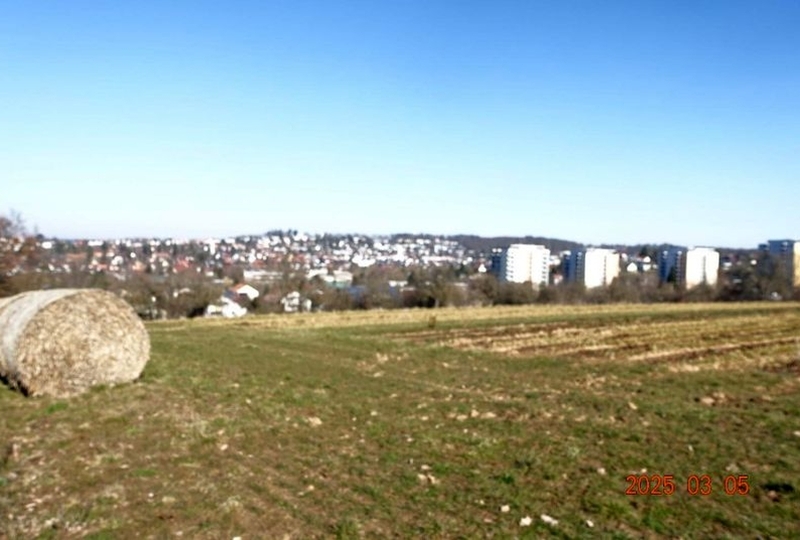 Landwirtschaftsfläche (Bauerwartungsland) in Böblingen - Bild 1