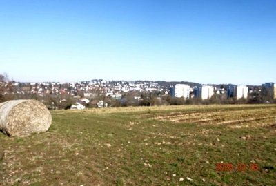 Landwirtschaftsfläche (Bauerwartungsland) in , 71032 Böblingen - Bild 1