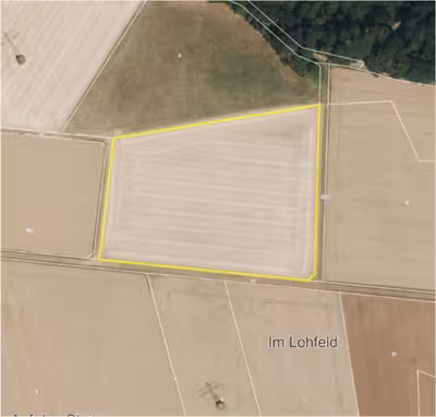 Sonstiges, Ackerland in Im Lohfeld, 34621 Frielendorf, Leimsfeld - Bild 1