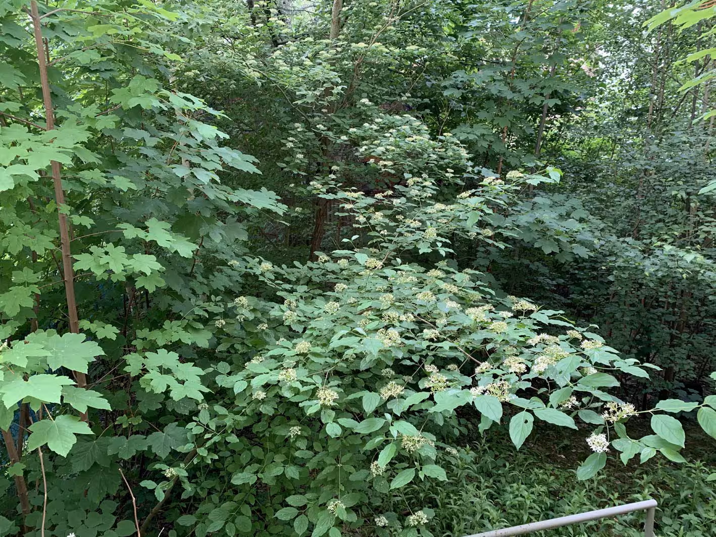 Eigentumswohnung (1 bis 2 Zimmer) in Chemnitz - Bild 4