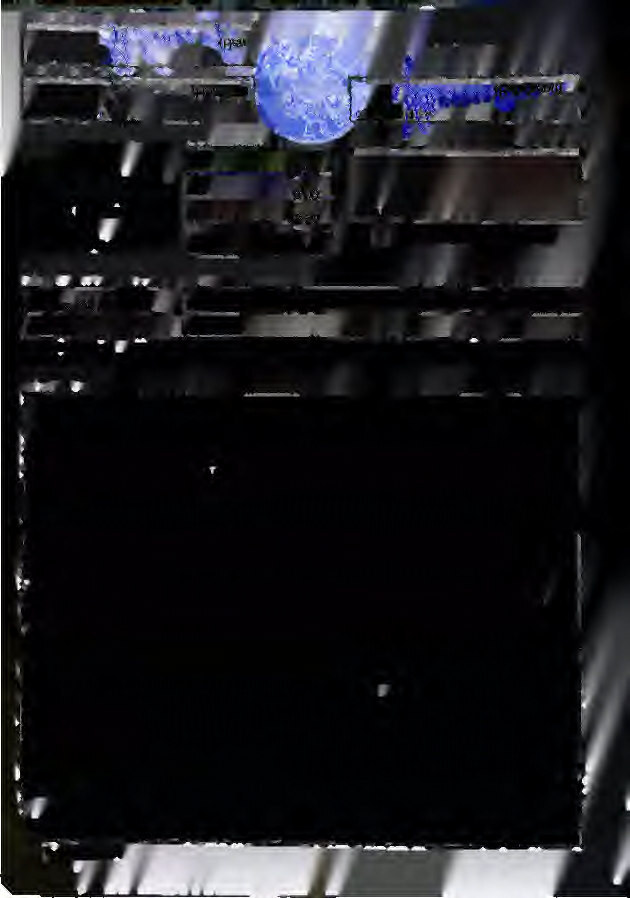 Grünland in Schmitten im Taunus - Bild 4