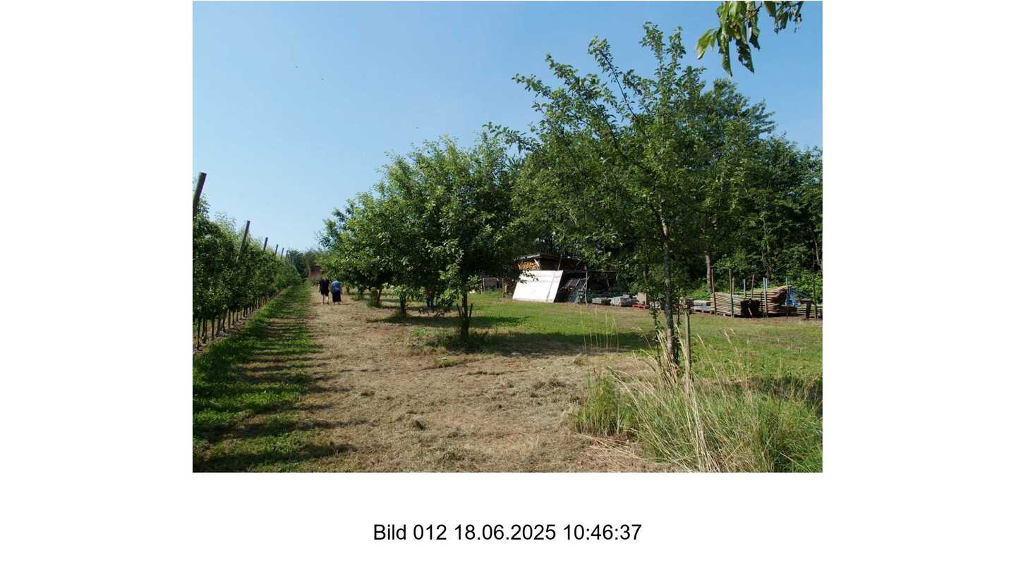 Sonstiges in Hofheim am Taunus - Bild 4