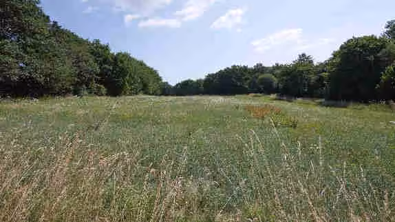 land- und forstwirtschaftlich genutztes Grundstück in Nörtershausen - Bild 16
