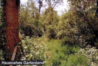 Einfamilienhaus mit Nebengebäude und Garage in Meterstraße 19, 70839 Gerlingen - Bild 1