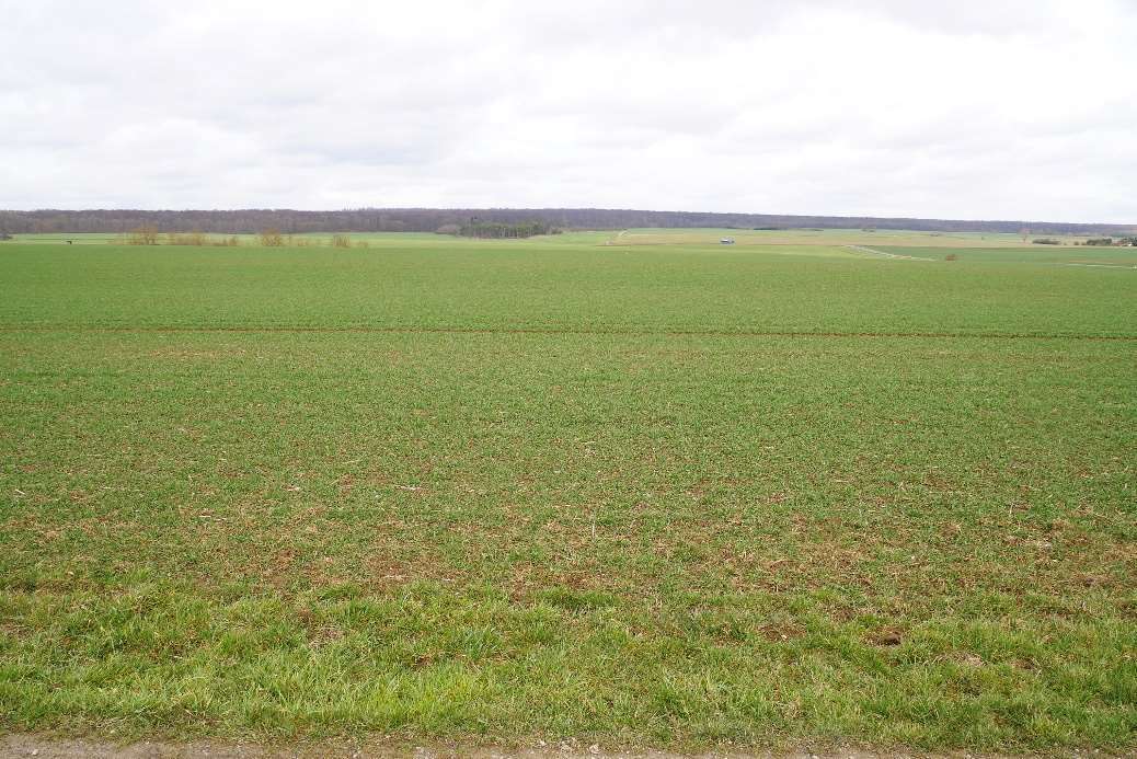 land- und forstwirtschaftlich genutztes Grundstück in Helbedündorf - Bild 1