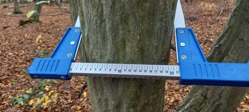 land- und forstwirtschaftlich genutztes Grundstück in Alfter - Bild 3