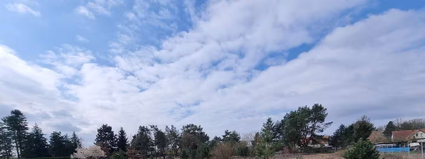 unbebautes Grundstück in Oranienburg - Bild 3