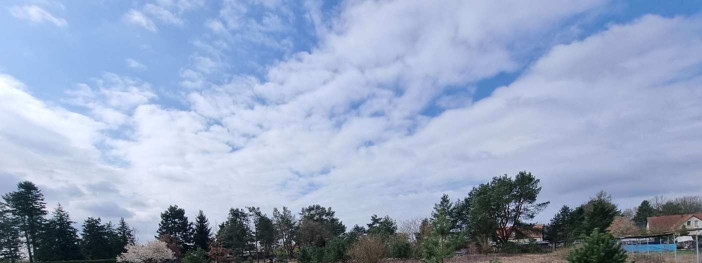 unbebautes Grundstück in Oranienburg - Bild 3