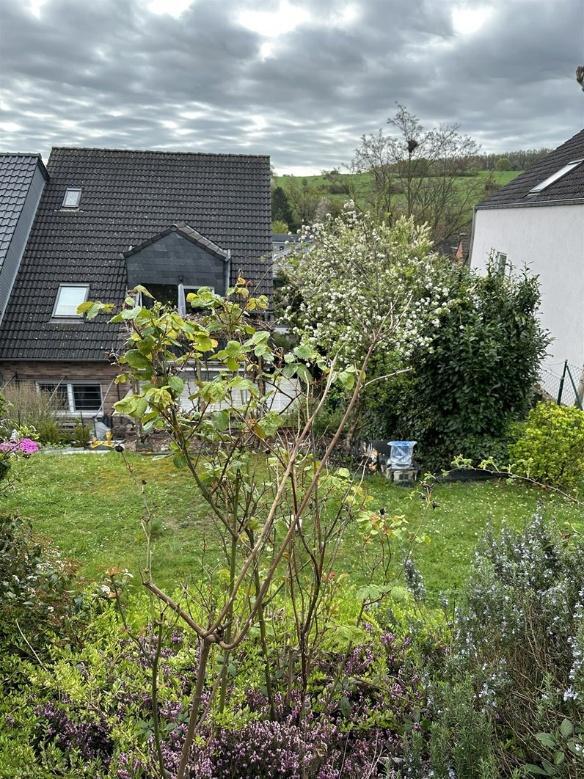 Garage, Doppelhaushälfte, Die Garage ist im KG des Hauses integriert. in Langerwehe - Bild 4