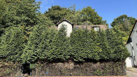Einfamilienhaus, Garage in Burg - Bild 1