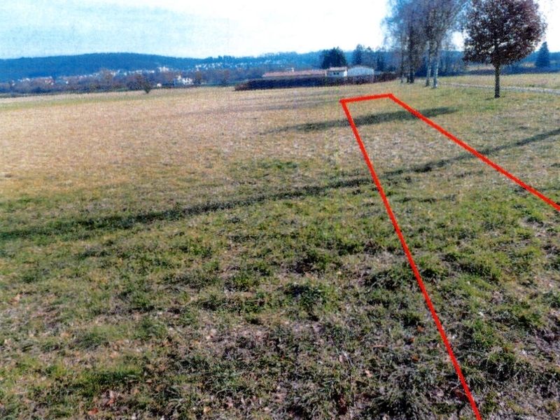 Landwirtschaftsfläche in Nußloch - Bild 1