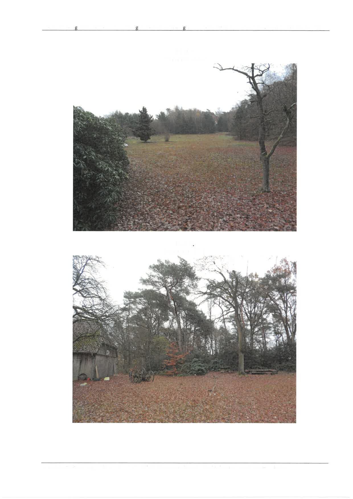 Sonstiges in Essel - Bild 4