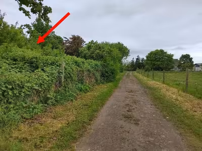 Unbebautes Grundstück (starker Wildwuchs) in nördlich der Teterower Straße, 17168 Jördenstorf - Bild 2