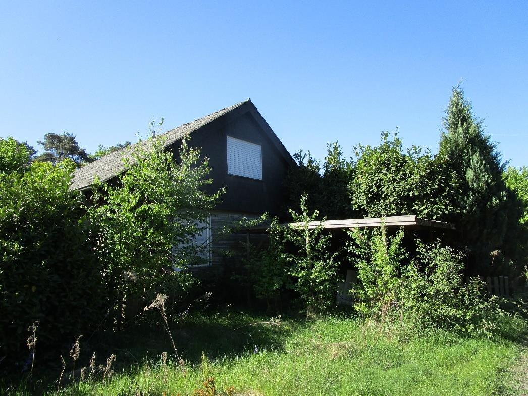 Sonstiges in Emsbüren - Bild 1