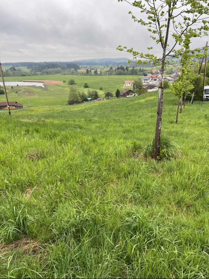 land- und forstwirtschaftlich genutztes Grundstück, Sonstiges in Urspring - Bild 4