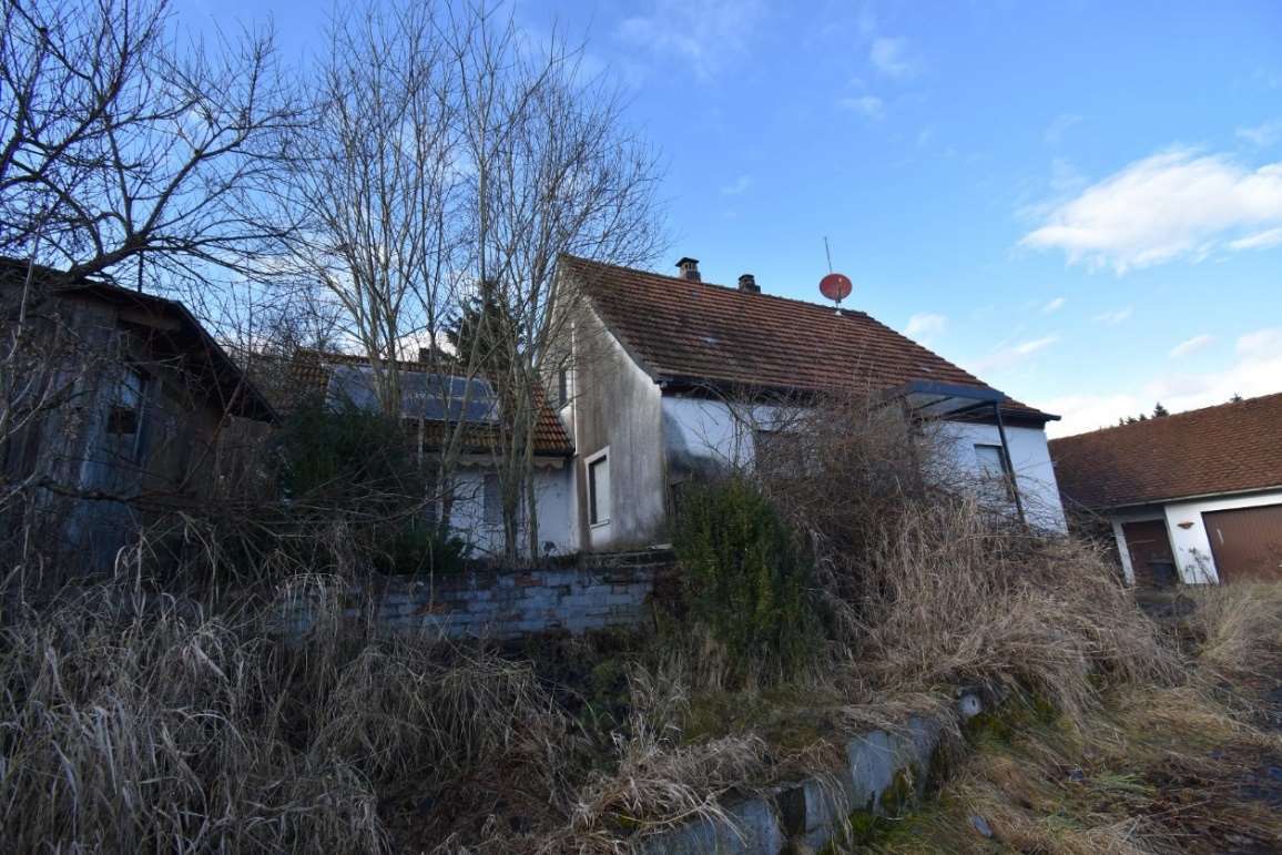 Einfamilienhaus, Neben- und Garagengebäude in Seubersdorf i.d. OPf. - Bild 1