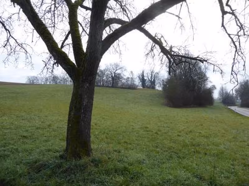 Landwirtschaftsflächen in Wiesloch - Bild 1