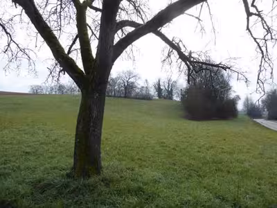 Landwirtschaftsflächen in , 69168 Wiesloch - Schatthausen - Bild 1