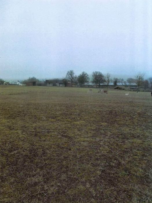 Landwirtschaftsflächen in Sachsenheim - Bild 3