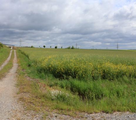 Landwirtschaftsfläche, Verkehrsfläche, Wasserfläche in Marktheidenfeld - Bild 2