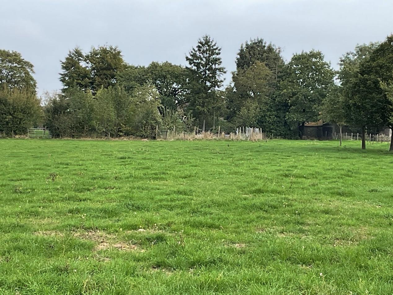 Einfamilienhaus, Nebengebäude in Heinsberg - Bild 4